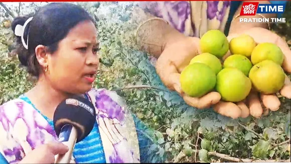 A Khumtai woman is making huge strides in self-reliance with her lush Bogori farm