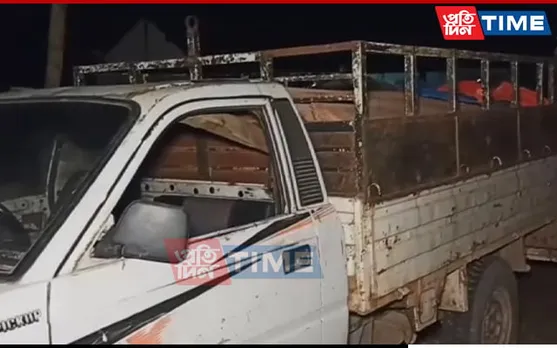 Assam: Timber Laden Pickup Truck Caught For Smuggling By Krishnai Forest Dept