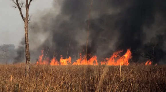 Kaziranga National Park Carries Controlled Burning of Forest