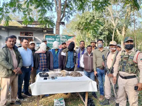 Assam: 6.3kg Pangolin Scale Recovered In Tinsukia, 3 Held