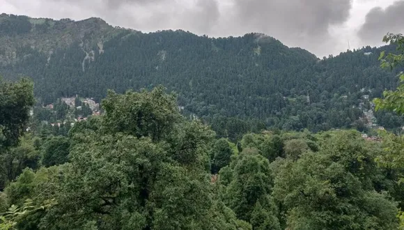 Arunachal Lost Maximum Forest Cover In 2021: Union Minister Choubey