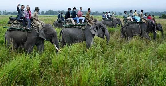 Assam: Kaziranga National Park To Close Elephant Safari From May 1