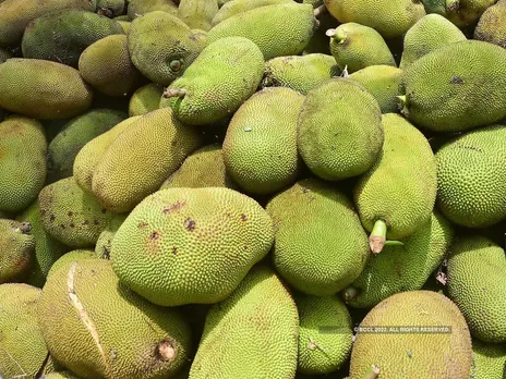 Assam Exports 1.5 tonnes of Jackfruit to Dubai
