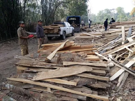 Illegal Sawmill Busted In Assam's Dibrugarh, Timber Seized