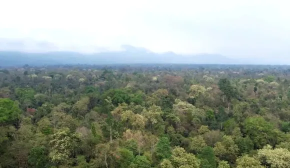 Assam: Behali Forest Reserve Granted Wildlife Sanctuary Status