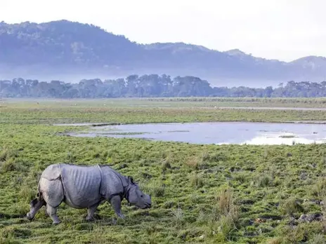 Kaziranga National Park to Reopen for tourists from Oct 15