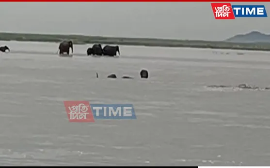 In Photos: Flood Situation Worsens in Assam 