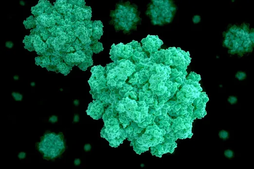 Kerala Reports 2 Confirmed Norovirus Cases This Month