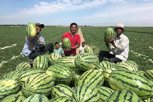 Chinese Property Market Accepting 'Watermelons' as Payment: Report