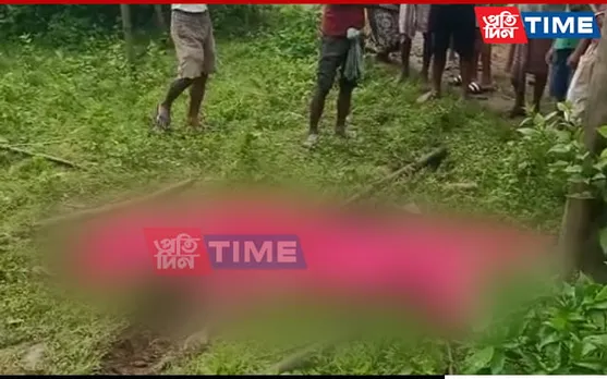 Elephant Tramples Woman to Death in Tamulpur
