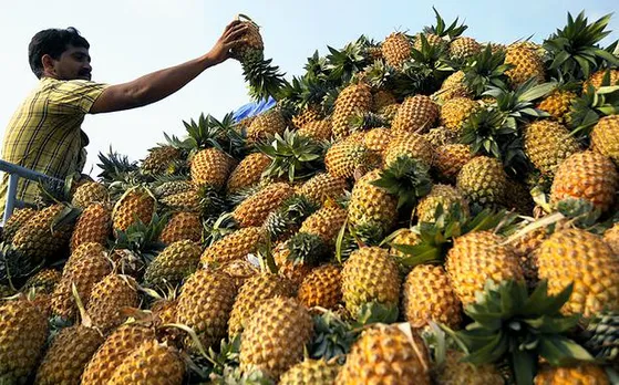 Mizoram Exports State Grown Pineapples to Dubai