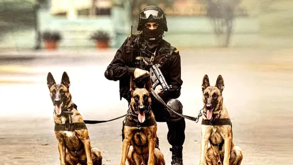Assam: K9 Dog Squad Tracking Down Poachers