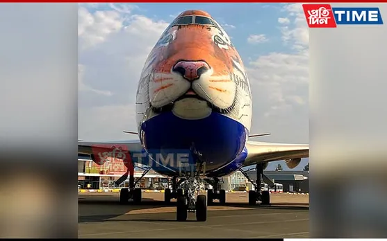Customized Tiger-Faced Aircraft To Fly Cheetahs From Namibia To India