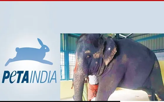 Celebrities Join PETA India to Rescue Abused Elephant Joymala