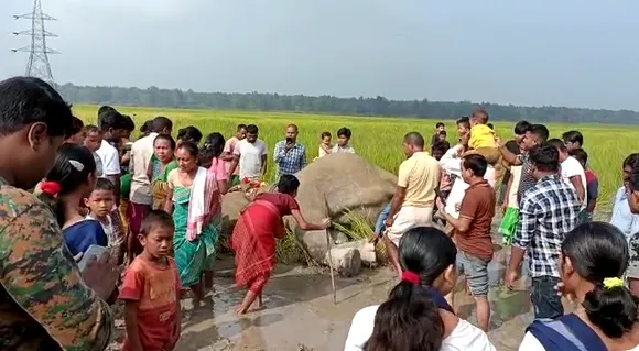Assam: Tusker Found Dead In Pond, Food Poisoning Suspected