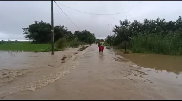 Over 200 Families Affected By Floods In Assam's Dhemaji