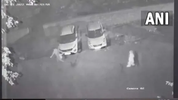 Delhi: Mother-Son Kill Husband, Chops Into Pieces