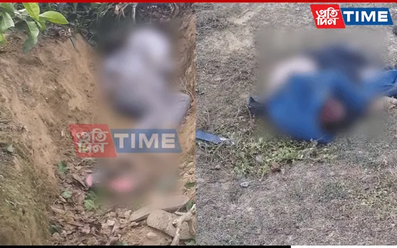 Assam: Wild Tusker Tramples 2 To Death In Sonari