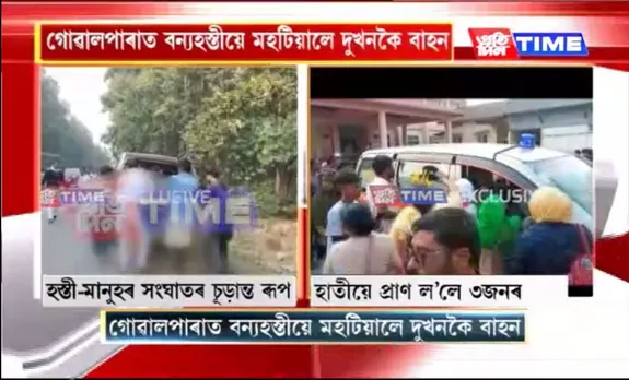 Assam: 3 Including a Child Killed in Wild Elephants Attack in Goalpara