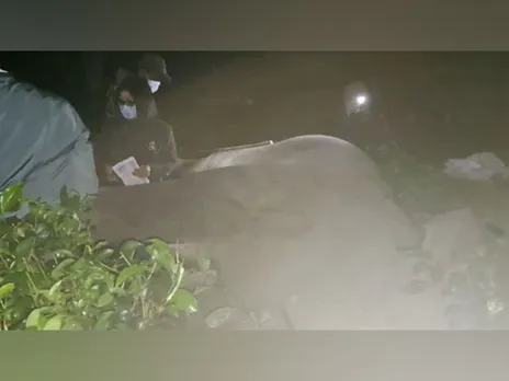 Assam: Tusker Found Dead at Tea Estate In Sonitpur