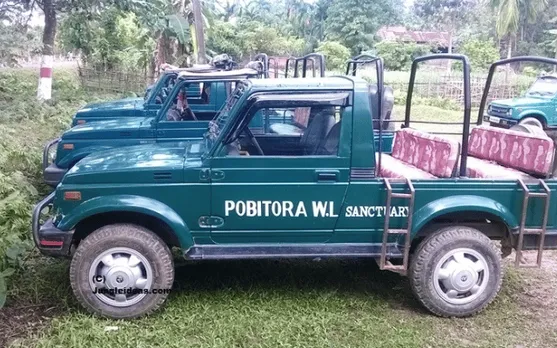 Pobitora Incident: Morigaon DC Directed File Report