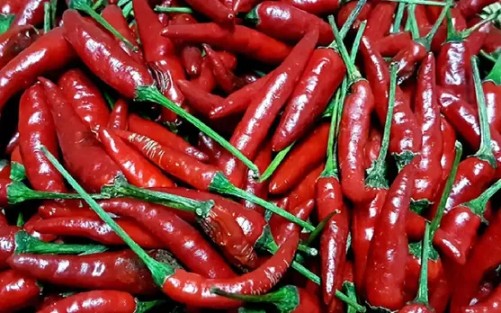 Mizoram to Export ‘Bird’s Eye Chili’ to US