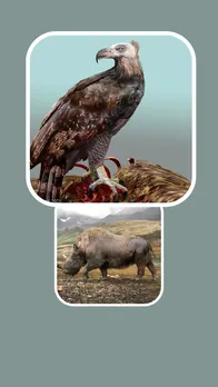 Uncover the Most Interesting Extinct Animals in History