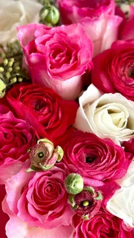 Top 7 Most Beautiful Flowers In The World