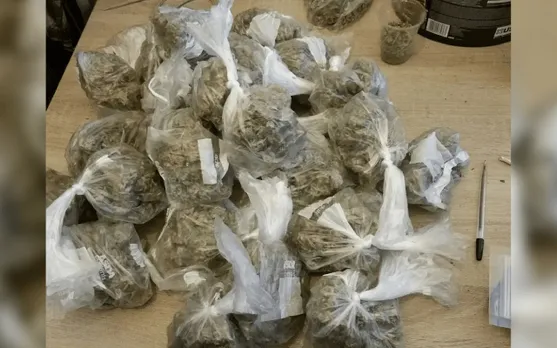Guwahati: Cannabis Worth Over 20 Lakhs Seized