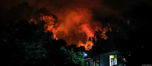 13 Killed as Wildfire Razes Across South-Central Chile; State Of Emergency Declared