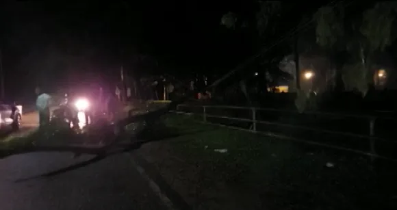 Storm Wrecks Havoc Across Tinsukia, Trees Uprooted, Cars Damaged 