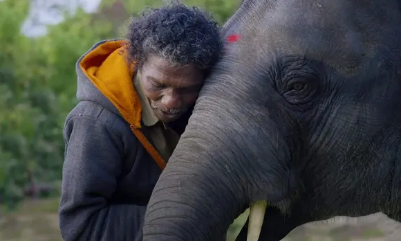 TN Govt Announces Rs. 1 Lakh for Elephant Caretakers