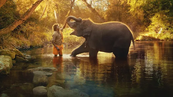 India's 'The Elephant Whisperers' Bags Oscar for Best Documentary Short Film