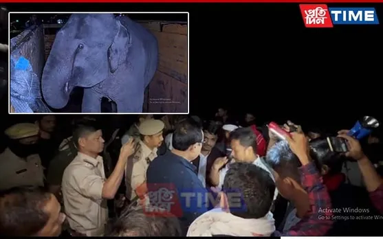 Tension Erupts in Tinsukia After Elephants Translocated To Gujarat