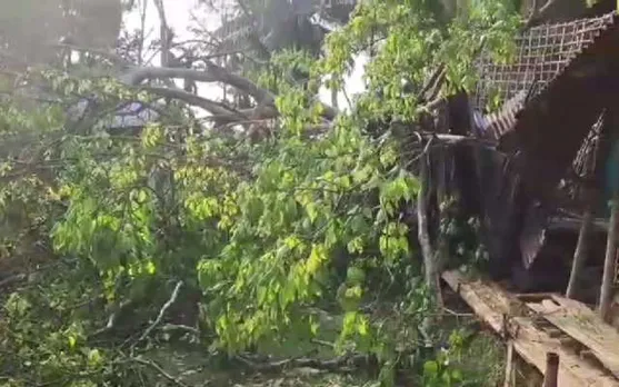 Assam: Storm Leaves Trail Of Destruction in Teok