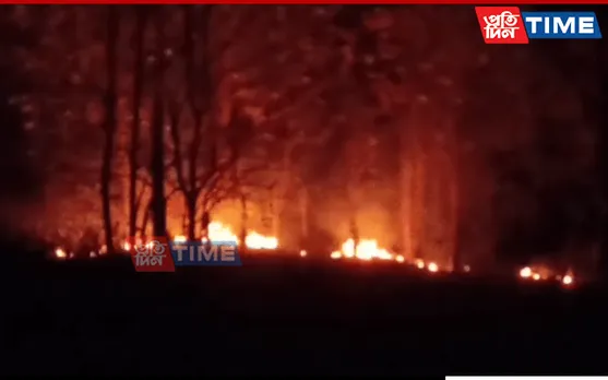 Guwahati: Major Forest Fire Breaks Out At Panikhaiti