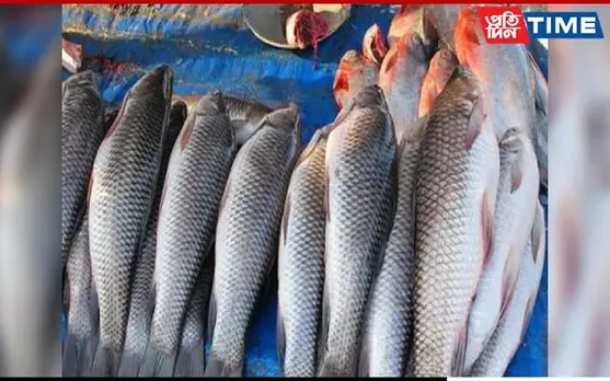 Meghalaya Govt Bans Sale of Imported Fish for 15 Days