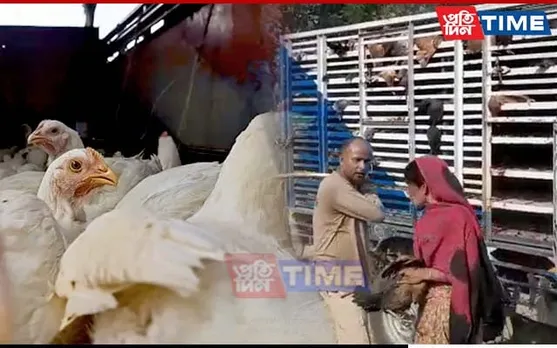 After Broiler, Police Seize Vans Smuggling Kuroiler Chicken in Assam