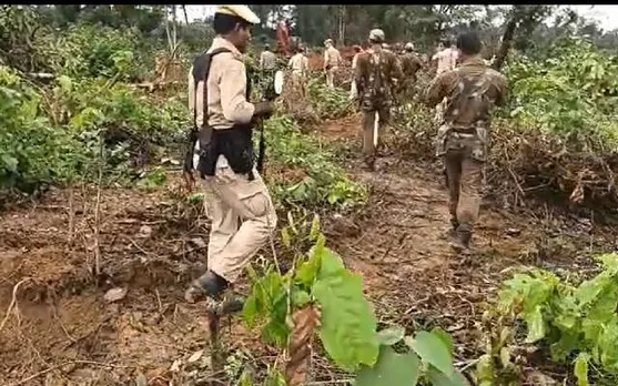 Tensions Flare as Authorities Halt Locals From Clearing Forest at Assam-Arunachal Border