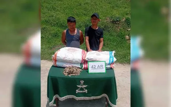 Two Arrested With 44 Kg Pangolin Scales at Mizoram-Myanmar Border