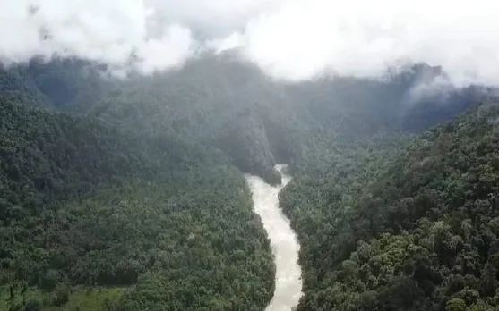 Miracle or Coincidence! 4 Lost Children Found Alive Months After Plane Crash in Amazon Jungle