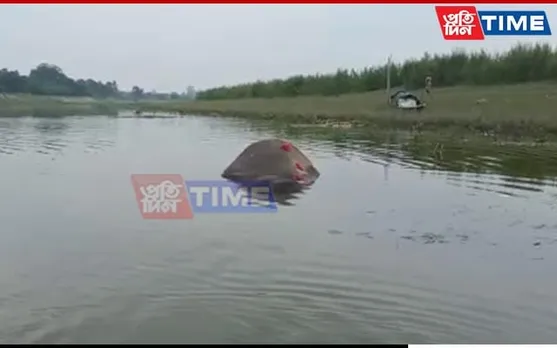 Assam: Sick Tusker Dies After Languishing In Pond For 2 Weeks