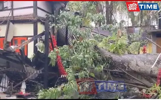 Guwahati: Tree Uproots, Crushes 50-Year-Old Temple in Basistha