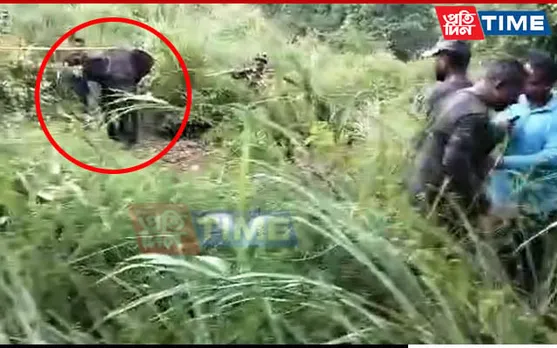 Elephant Calf Stranded Near Bogamati Picnic Spot For 3 Days, Rescued