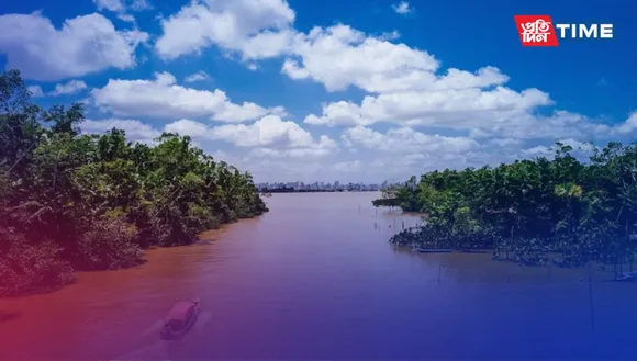 Mangroves of India: Guardians of Coastal Biodiversity and Livelihoods