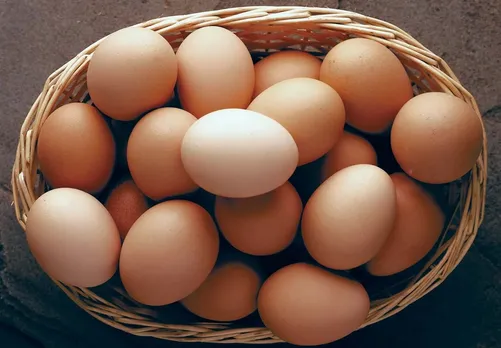 Assam Govt Mandatorily Makes 3 Eggs Weekly Per Child in Mid-Day Meals