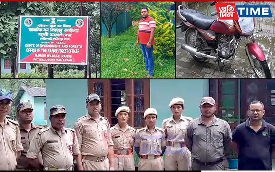 Assam Resort Manager Held for Possessing Deer Meat in Sonitpur’s Nameri