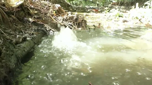 Assam: Panic Grips Residents After Gas Leak in Duliajan