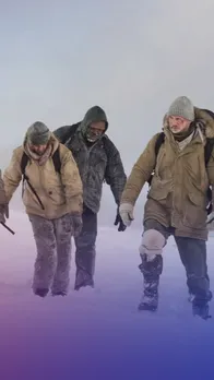 7 Best Survival Movies