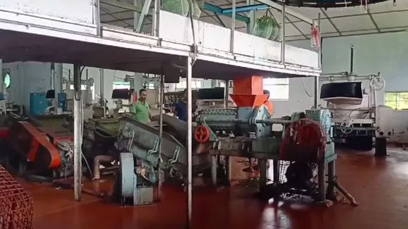 Assam: Laborer Succumbs to Injuries in Jorhat Tea Factory Incident
